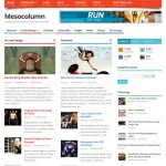 Mesocolumn Wordpress theme Free download